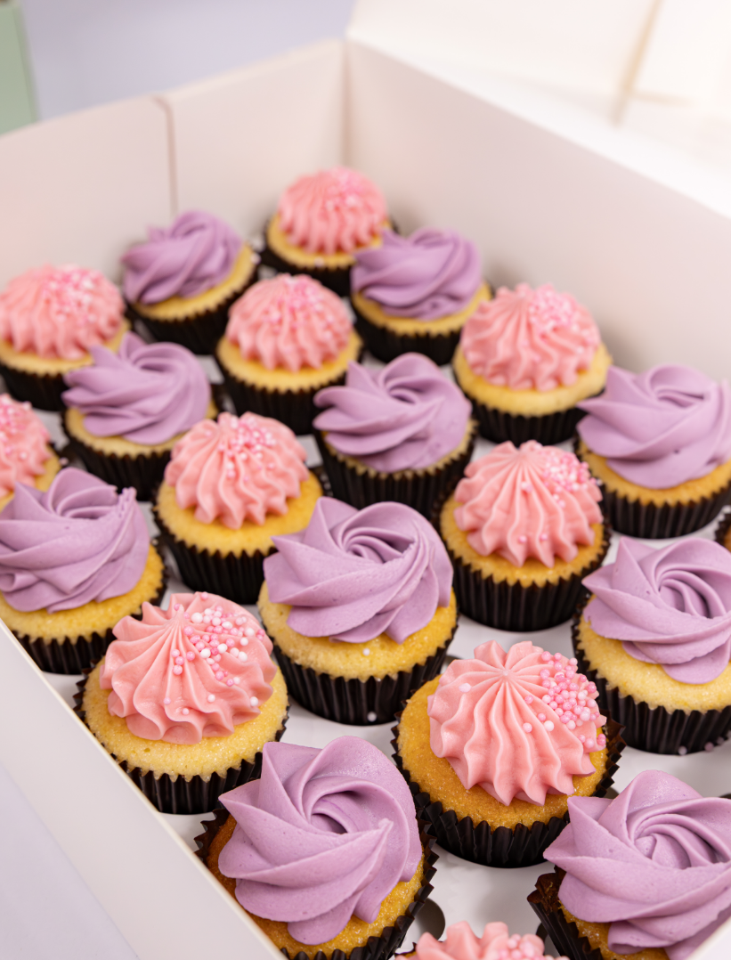 Mini Cupcake Box