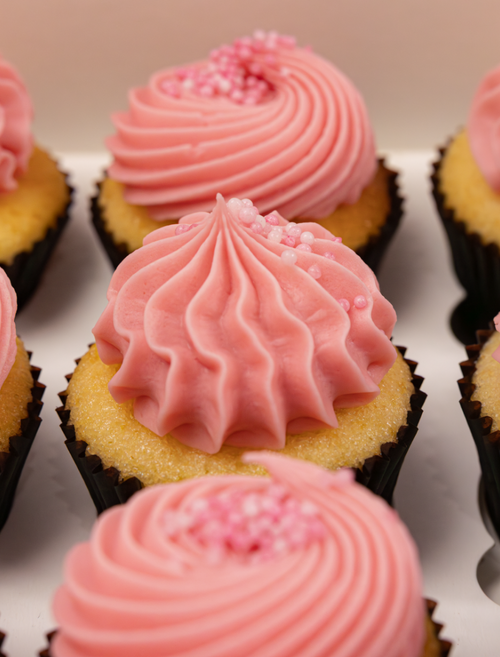 Mini Cupcake Box